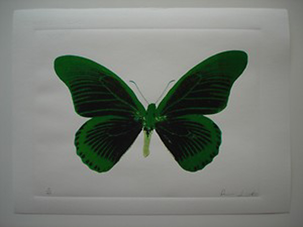 Damian Hirst Butterfly original Photogravur.